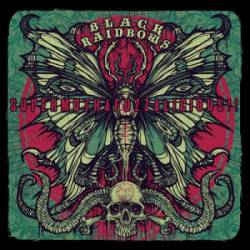 BLACK RAINBOWS - Supermothafuzzalicious!!