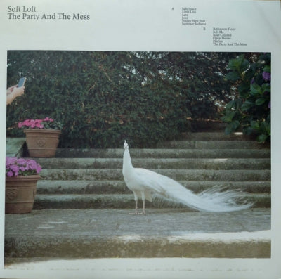 SOFT LOFT - The Party And The Mess
