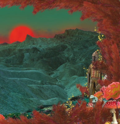 HAWKEYES / THE RADIATION FLOWERS - Hawkeyes / The Radiation Flowers