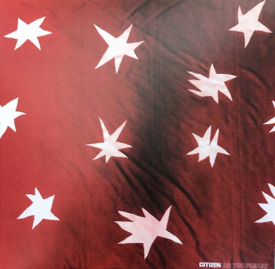 CITIZEN - As You Please