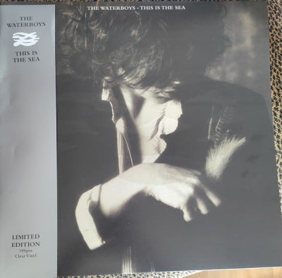 THE WATERBOYS - This Is The Sea