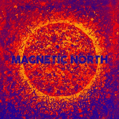 VARIOUS - Magnetic North