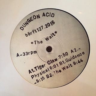 DUNGEON ACID - The Wait