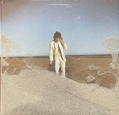 DECLAN MCKENNA - What Happened To The Beach?