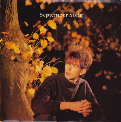 IAN McCULLOCH - September Song / Cockles And Mussels