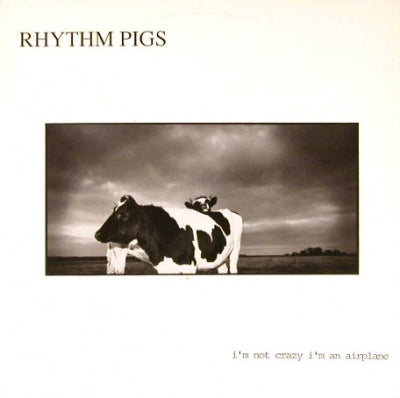 RHYTHM PIGS - I'm Not Crazy I'm An Airplane