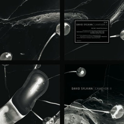 DAVID SYLVIAN - Camphor II