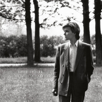 DAVID SYLVIAN - Brilliant Trees