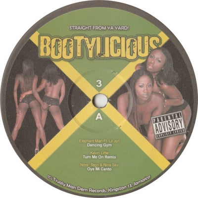 VARIOUS ARTISTS - Bootylicious 3