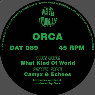 ORCA - What Kind of World / Camyx / Echoes