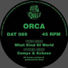 ORCA - What Kind of World / Camyx / Echoes