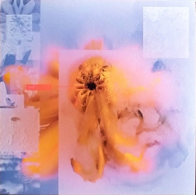 PLACID ANGLES - The Lotus