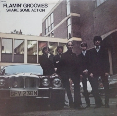 FLAMIN' GROOVIES - Shake Some Action
