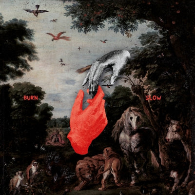 CHRIS LIEBING - Burn Slow