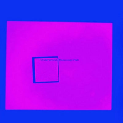 UNDERWORLD - Beaucoup Fish