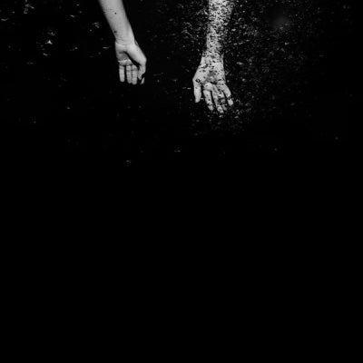 THE MAINE - Lovely, Little, Lonely