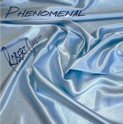 ROBERT OWENS - Phenomenal
