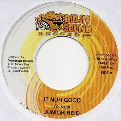 JUNIOR REID & PAUL ELLIOT - It Nuh Good / Turn It Up
