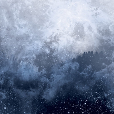 WOLVES IN THE THRONE ROOM - Celestite