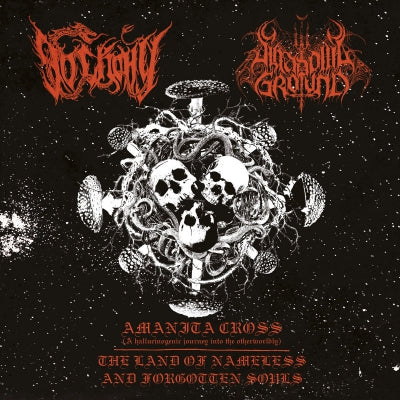 SHADOWS GROUND / До Скону - Amanita Cross / The Land Of Nameless And Forgotten Souls