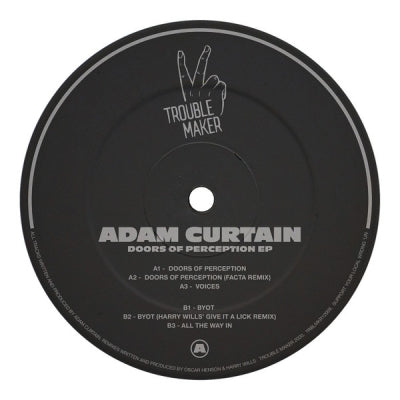 ADAM CURTAIN - Doors of Perception