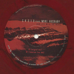 CV313 PLAYS MIKE HUCKABY - Our Life With The Wave