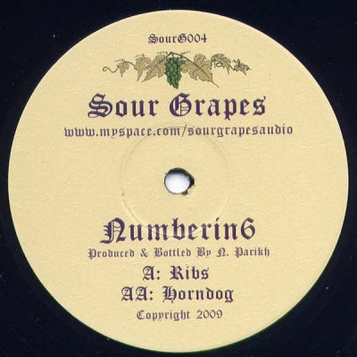 NUMBERNIN6 - Ribs / Horndog