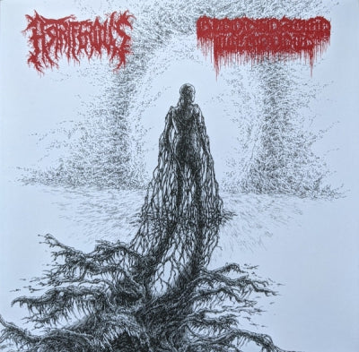 ASTRIFEROUS / BLOODSOAKED NECROVOID - Astriferous / Bloodsoaked Necrovoid