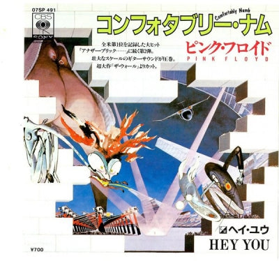 ピンク・フロイド* = PINK FLOYD - コンフォタブリー・ナム = Comfortably Numb c/w ヘイ・ユウ = Hey You