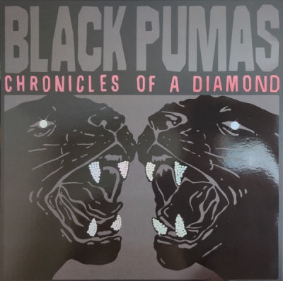 BLACK PUMAS - Chronicles Of A Diamond