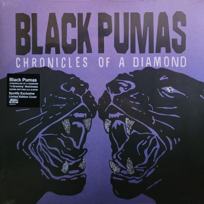 BLACK PUMAS - Chronicles Of A Diamond