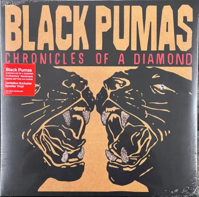 BLACK PUMAS - Chronicles Of A Diamond