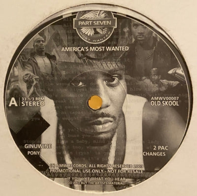 VARIOUS ARTISTS - America's Most Wanted (Part Seven)