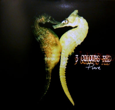 THREE COLOURS RED - Pure