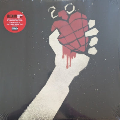 GREEN DAY - American Idiot 20