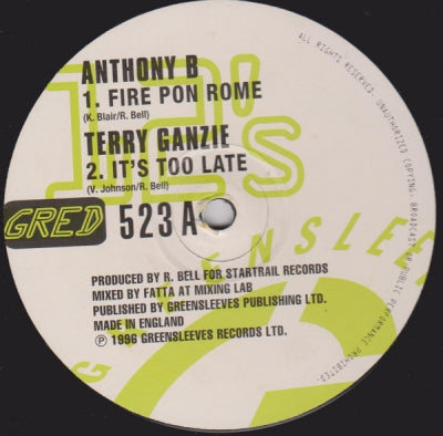 ANTHONY B / TERRY GANZIE / ANTHONY B / DETERMINE - Fire Pon Rome / It's Too Late / Run Come / Perilous Time