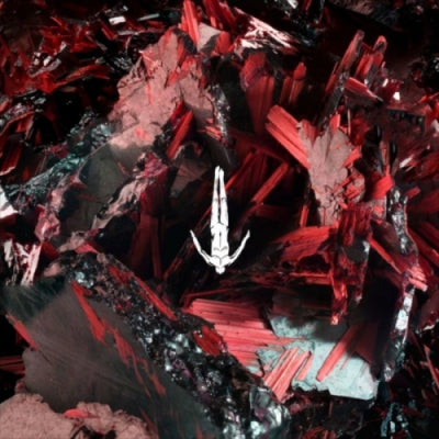 STEPHAN BODZIN - Strand / Catamaran