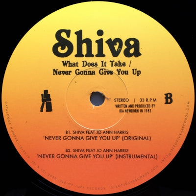 SHIVA - Never Gonna Give You Up / What Does It Take
