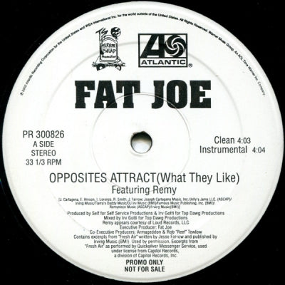 FAT JOE FEATURING REMY MARTIN - Opposites Attract (What They Like)