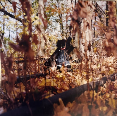 BILLY WOODS - Golliwog