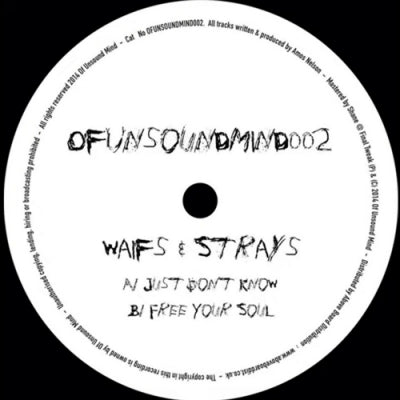 WAIFS & STRAYS - Just Don't Know / Free Your Soul
