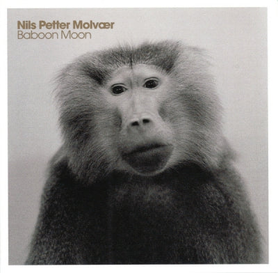 NILS PETTER MOLVæR - Baboon Moon