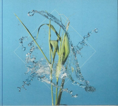FERGUS MCCREADIE - Stream