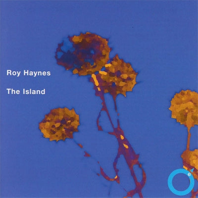 ROY HAYNES - The Island