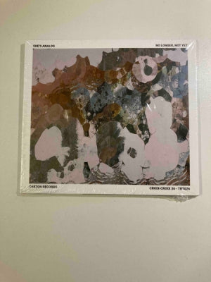 SHE'S ANALOG - No Longer, Not Yet