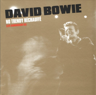 DAVID BOWIE - No Trendy Réchauffé (Live Birmingham 95)