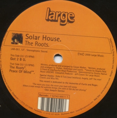 SOLAR HOUSE - The Roots