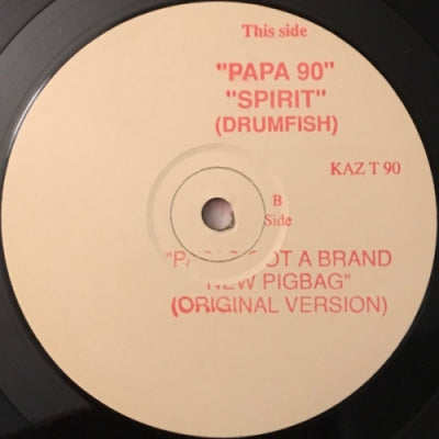 DRUMFISH / PIGBAG - Spirit / Papa's Got A Brand New Pigbag