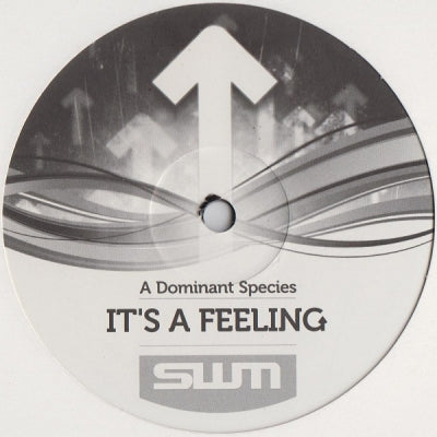 A DOMINANT SPECIES - It's A Feeling