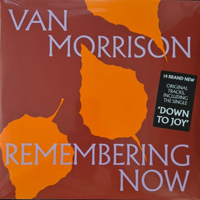 VAN MORRISON  - Remembering Now